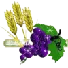 🍇 Эмодзи «Separators» для Telegram
