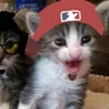 💤 Эмодзи «Paired Cats» для Telegram