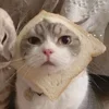 💤 Эмодзи «Paired Cats» для Telegram