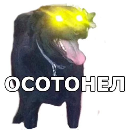 👹 Стикер «Смешные собаки» для Telegram
