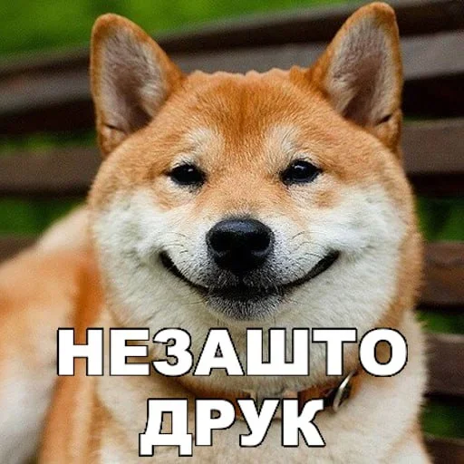 😊 Стикер «Смешные собаки» для Telegram