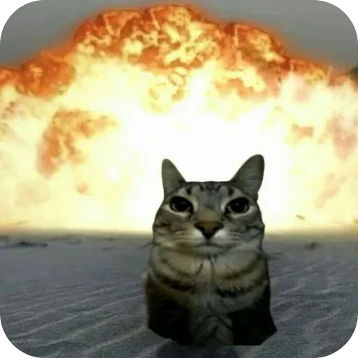 🐱 Стикер «Русские мемные реакции» для Telegram