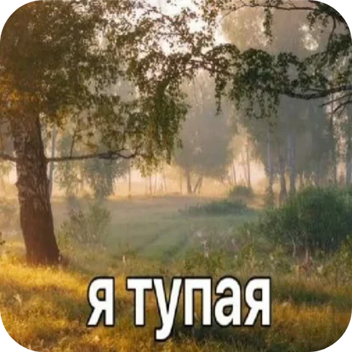 🌲 Стикер «Лесные летние мемы» для Telegram