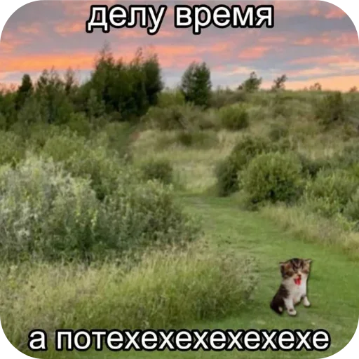 🐶 Стикер «Лесные летние мемы» для Telegram