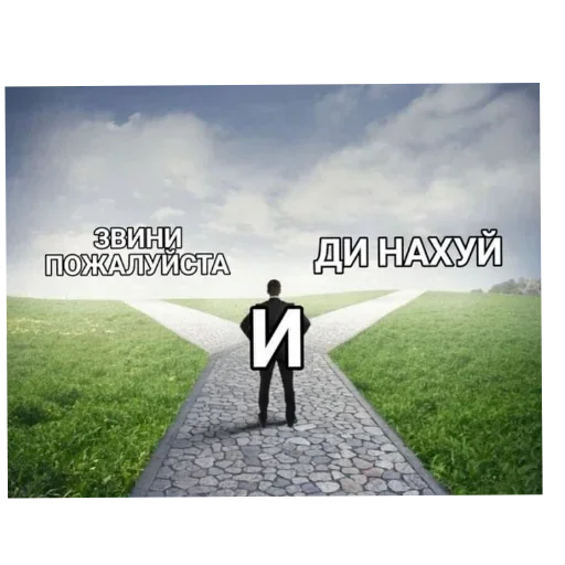 🌌 Стикер «Лесные летние мемы» для Telegram