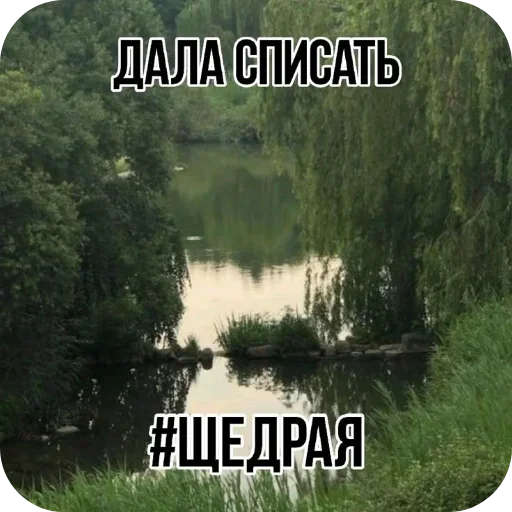 🖼 Стикер «Лесные летние мемы» для Telegram