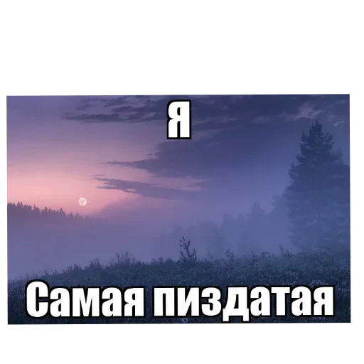 🌌 Стикер «Лесные летние мемы» для Telegram
