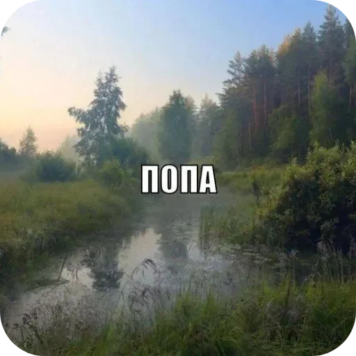 ⛰ Стикер «Лесные летние мемы» для Telegram