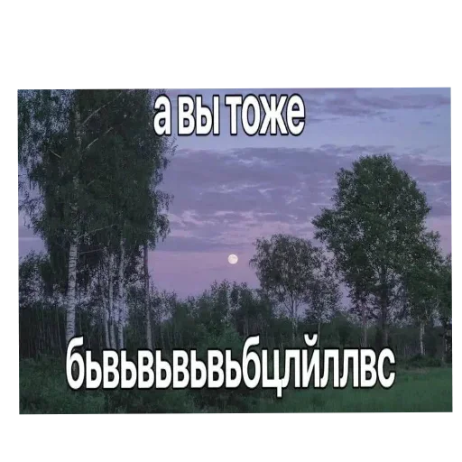🖼 Стикер «Лесные летние мемы» для Telegram