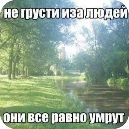 🖼 Стикер «Лесные летние мемы» для Telegram