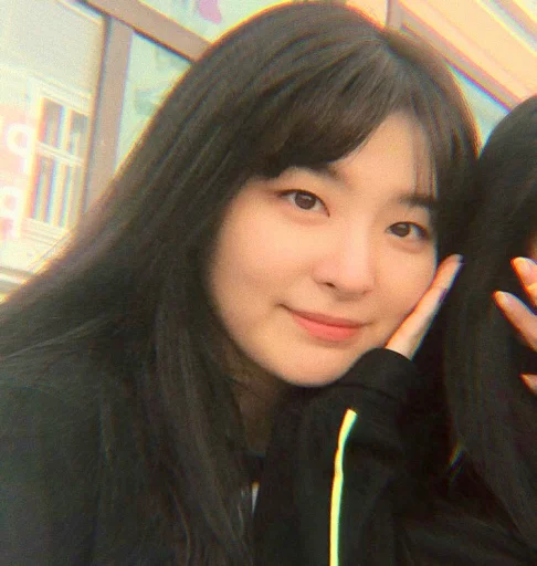 Стикерпак seulgi kang для Telegram — скачать