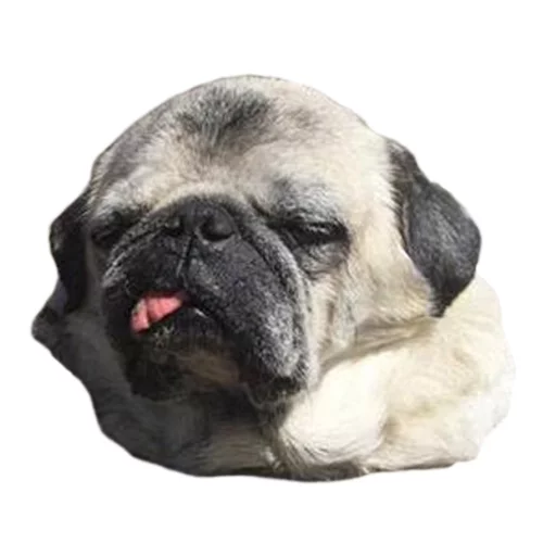 😵 Стикер «Sexy Animals» для Telegram