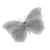 🖤 Эмодзи «Sexy Bw» для Telegram