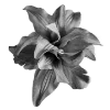 🖤 Эмодзи «Sexy Bw» для Telegram