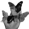 🖤 Эмодзи «Sexy Bw» для Telegram