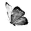 🖤 Эмодзи «Sexy Bw» для Telegram