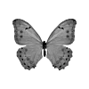 🖤 Эмодзи «Sexy Bw» для Telegram