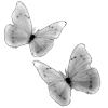 🖤 Эмодзи «Sexy Bw» для Telegram