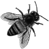 🖤 Эмодзи «Sexy Bw» для Telegram
