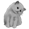 🖤 Эмодзи «Sexy Bw» для Telegram