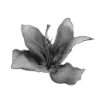 🖤 Эмодзи «Sexy Bw» для Telegram