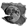 🖤 Эмодзи «Sexy Bw» для Telegram