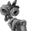 🖤 Эмодзи «Sexy Bw» для Telegram