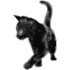 🖤 Эмодзи «Sexy Bw» для Telegram