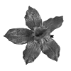 🖤 Эмодзи «Sexy Bw» для Telegram
