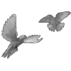 🖤 Эмодзи «Sexy Bw» для Telegram