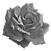 🖤 Эмодзи «Sexy Bw» для Telegram