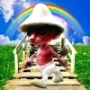 🌟 Эмодзи «Шайлушай» для Telegram