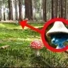 🌟 Эмодзи «Шайлушай» для Telegram