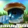 🌟 Эмодзи «Шайлушай» для Telegram
