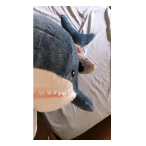 🥺 Стикер «shark» для Telegram