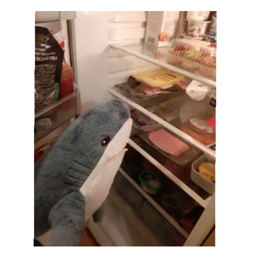 🍨 Стикер «shark» для Telegram