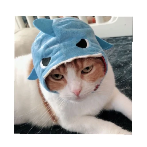😄 Стикер «shark» для Telegram