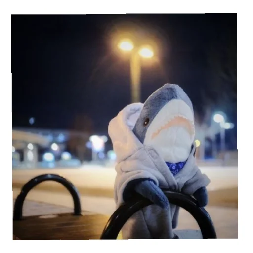 😄 Стикер «shark» для Telegram