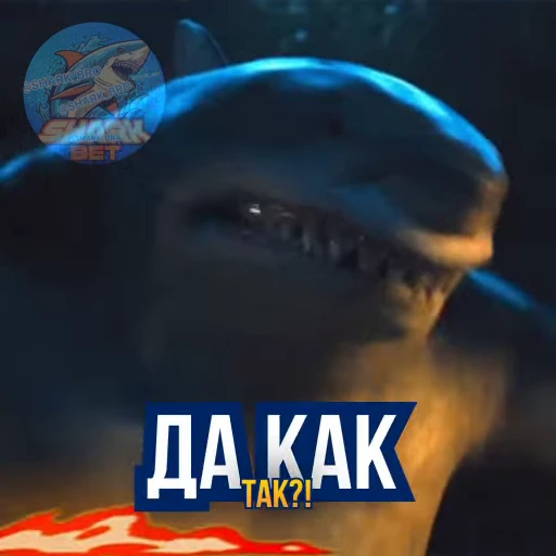 🤬 Стикер «Sharkbet» для Telegram