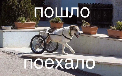 🤨 Стикер «штангенциркуль» для Telegram