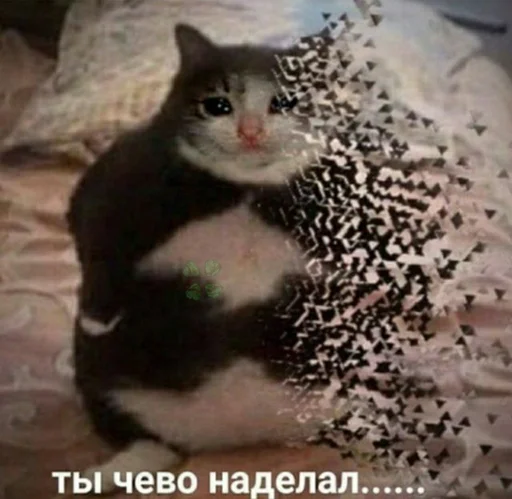 😢 Стикер «штангенциркуль» для Telegram