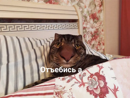 😑 Стикер «штангенциркуль» для Telegram