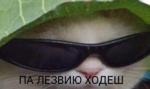 😬 Стикер «штангенциркуль» для Telegram
