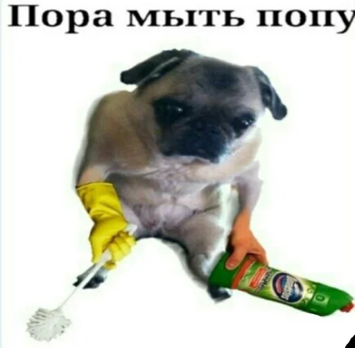 👍 Стикер «штангенциркуль» для Telegram
