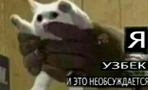 ☝️ Стикер «штангенциркуль» для Telegram