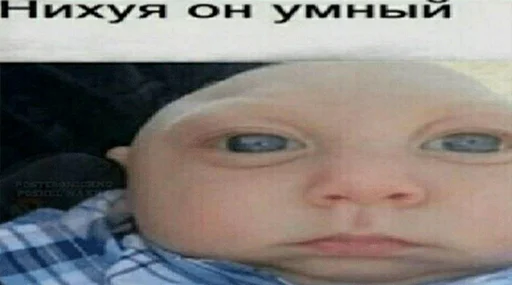 🧠 Стикер «штангенциркуль» для Telegram