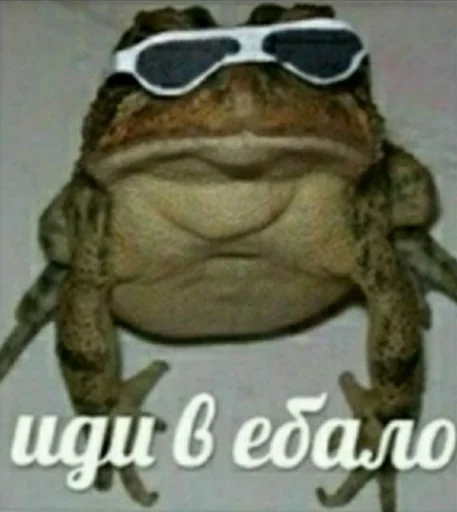 😎 Стикер «штангенциркуль» для Telegram