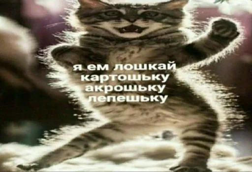 🕺 Стикер «штангенциркуль» для Telegram