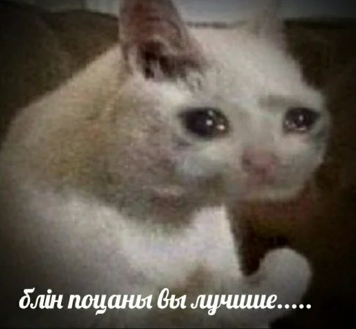 🥺 Стикер «штангенциркуль» для Telegram