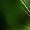 🐱 Эмодзи «we live, we love, we lie..» для Telegram